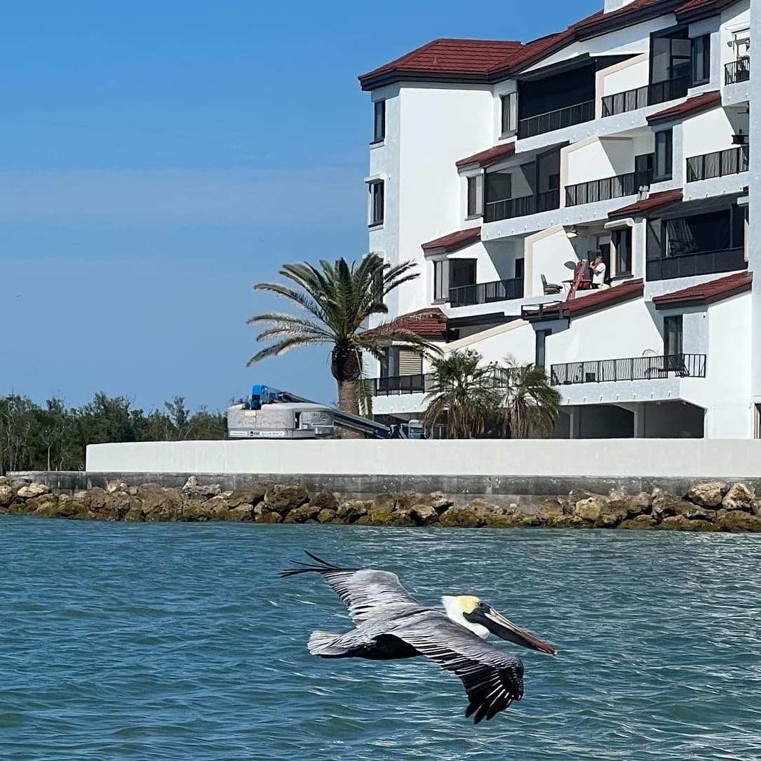 A pelican flying low over the water